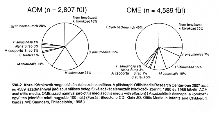 középfülgyulladás gtafikonja
